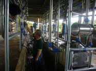 酪農場のための自動搾り出す流れメートル ヘリンボン搾り出すパーラー
